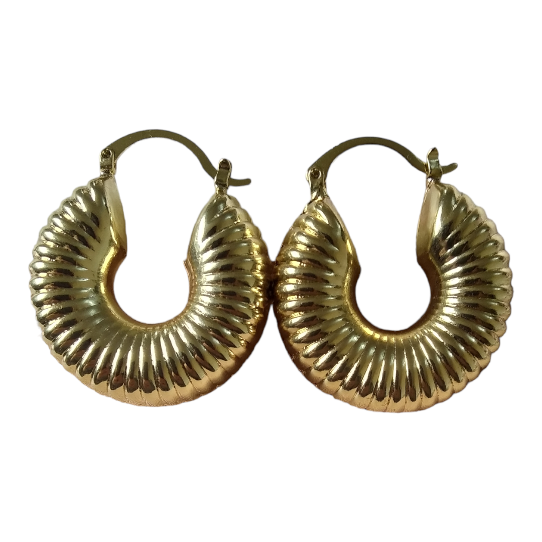 dos aretes caracol dorados